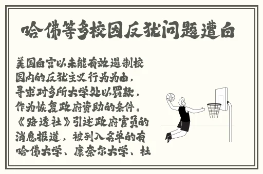 抖抈短视频app下载